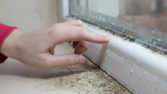 Cleaning and preventing mould on your projects