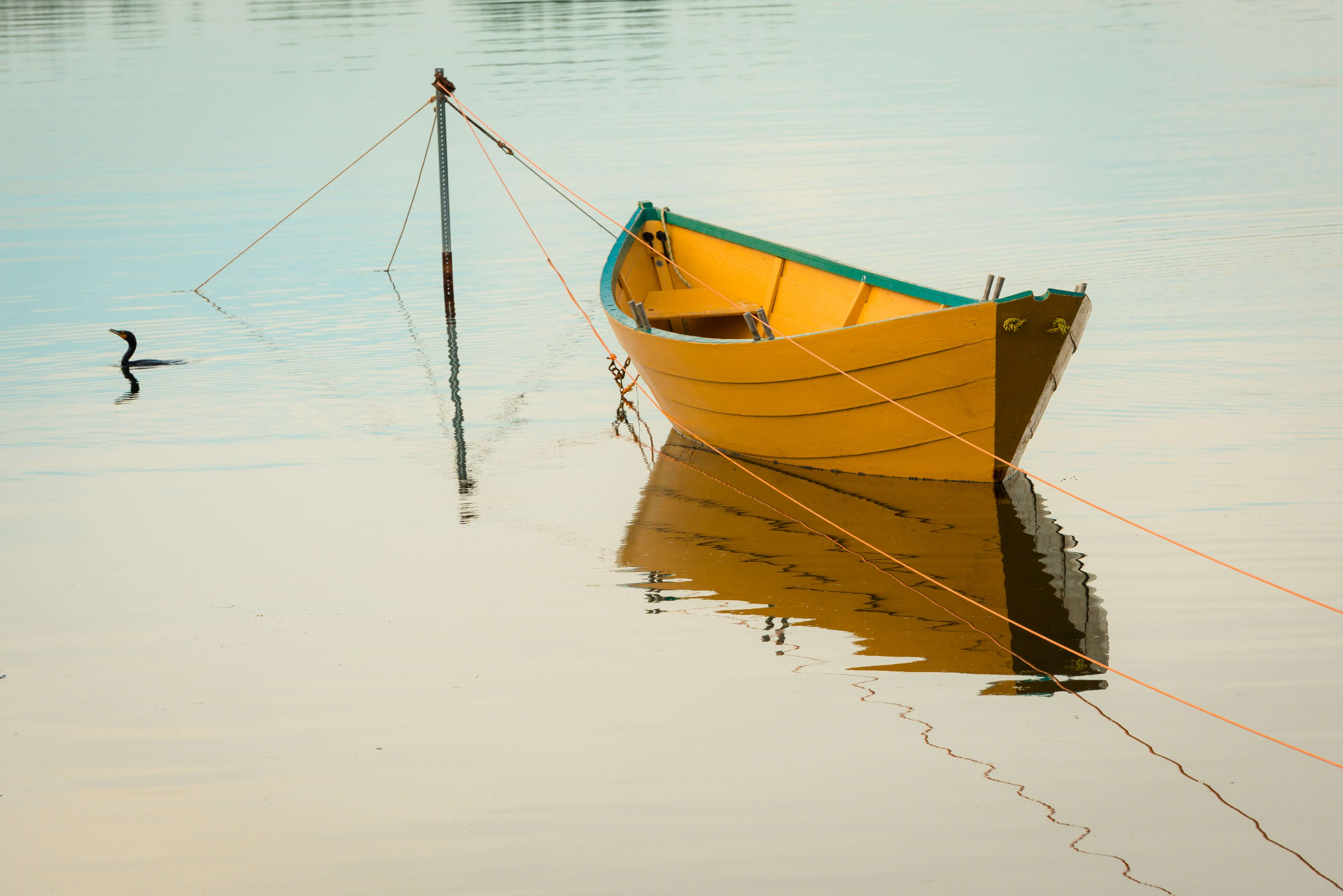 Marine Care in Australia: The Complete System to Clean, Repair, Prime and Protect Boats, Trailers and Marine Hardware