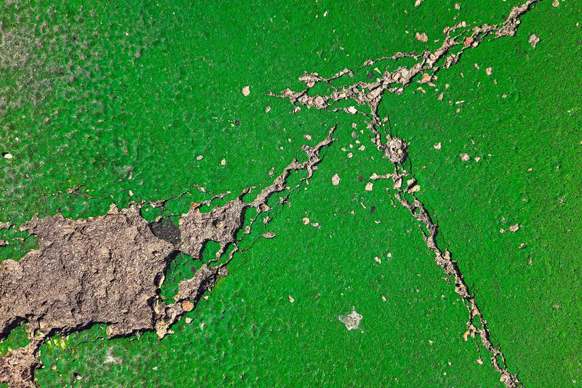 How to Fix Cracking Paint: A Comprehensive Guide by Paintworld