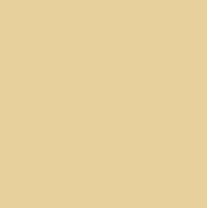 Nutech NuPool Beach Sand Pool Paint-Pool-Paint World