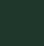 Nutech NuPool Pond Green Pool Paint-Pool-Paint World