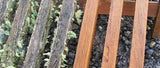 Cutek Quick Clean-Decking Cleaning-Paint World